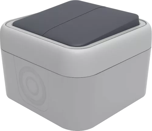 Выключатель 2-клавишный проходной накладной 10A 250В IP55 на винтах, цвет серый, серия W55 Donel