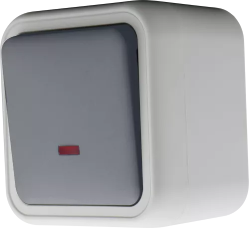 Выключатель 1-клавишный проходной с подсветкой накладной 10A 250В IP55, цвет серый, серия W55 Donel