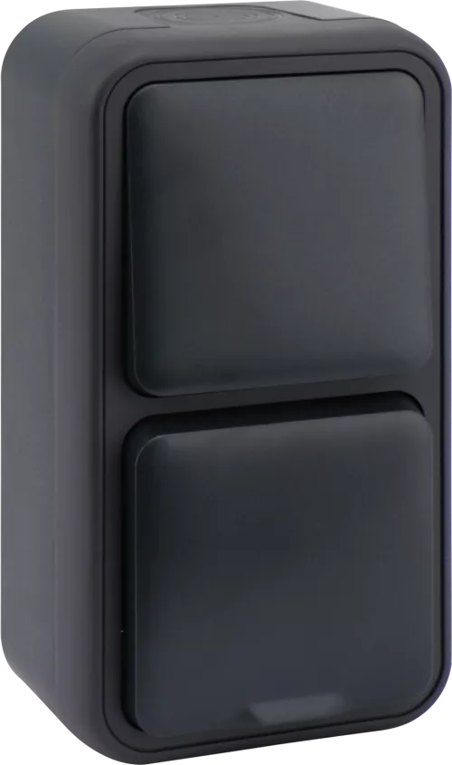 Двойной блок накладной IP55 - розетка Schuko с заземлением со шторками с крышкой 16А 250В на винтах + выключатель 1-клавишный проходной накладной 10A 250В, цвет антрацит, серия W55 Donel