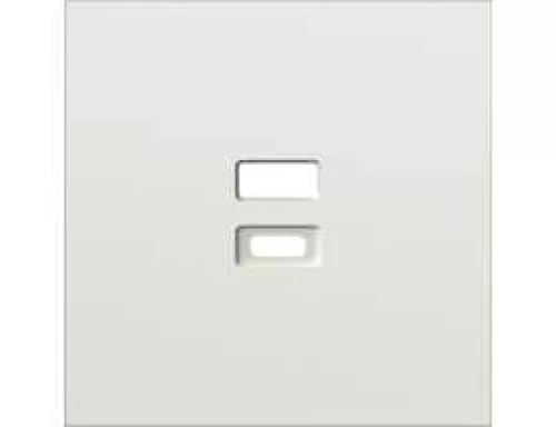 Накладка для USB-зарядки, цвет шампань, серия S08 Donel