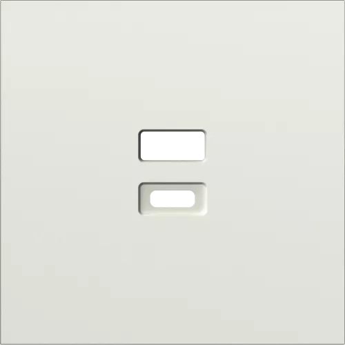 Накладка для USB-зарядки, цвет шампань, серия S08 Donel
