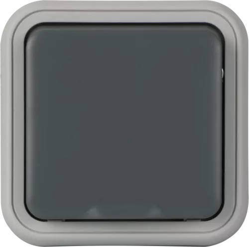 Рамка с крышкой для скрытой установки розетки IP55, цвет серый, серия W55 Donel