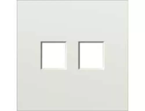 Накладка на 2 выхода для розеток RJ11, RJ45 и TV/SAT, цвет шампань, серия S08 Donel