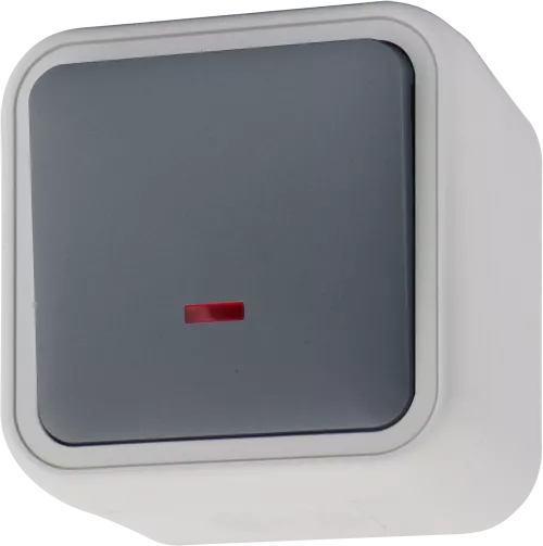 Кнопочный выключатель 1-клавишный с подсветкой 1н.о. накладной 10A 250В IP55, цвет серый, серия W55 Donel