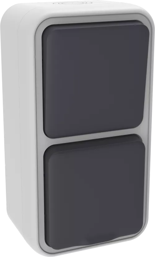 Двойной блок накладной IP55 - розетка Schuko с заземлением со шторками с крышкой 16А 250В на винтах + выключатель 1-клавишный проходной накладной 10A 250В, цвет серый, серия W55 Donel