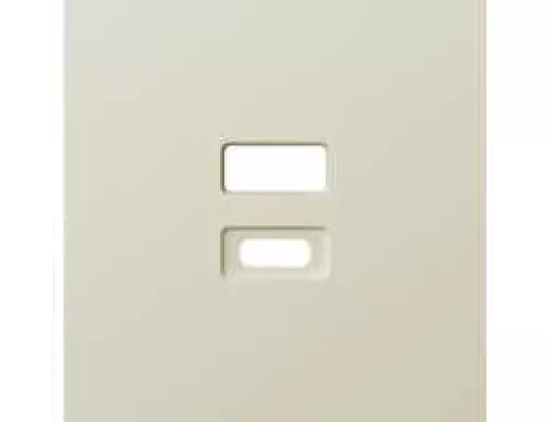 Накладка для USB-зарядки, цвет шампань, серия A07 Donel