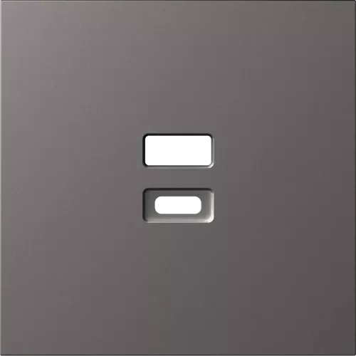 Накладка для USB-зарядки, цвет матовый титан, серия S08 Donel