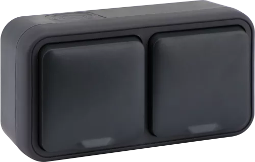 Розетка Schuko с заземлением двойная со шторками с крышкой накладная 16А 250В IP55 на винтах, цвет антрацит, серия W55 Donel