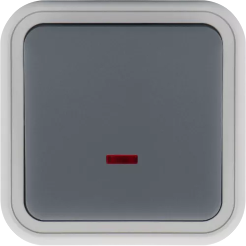 Кнопочный выключатель 1-клавишный с подсветкой 1н.о. накладной 10A 250В IP55, цвет серый, серия W55 Donel