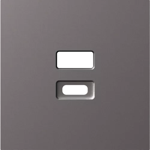 Накладка для USB-зарядки, цвет матовый титан, серия A07 Donel
