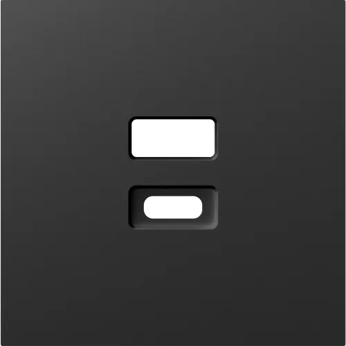 Накладка для USB-зарядки, цвет матовый карбон, серия A07 Donel