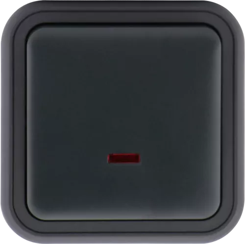 Кнопочный выключатель 1-клавишный с подсветкой 1н.о. накладной 10A 250В IP55, цвет антрацит, серия W55 Donel