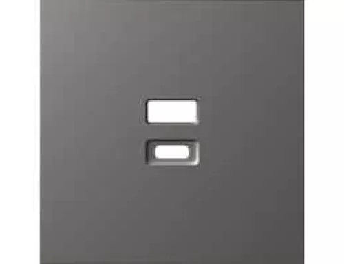 Накладка для USB-зарядки, цвет матовый титан, серия S08 Donel